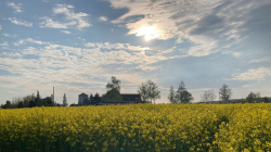 Knapendorf_05